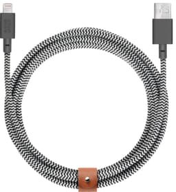 Native Union Belt XL USB-A till Lightning-kabel (zebra)