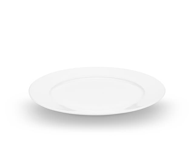 Pillivuyt Sancerre plate flat Dia 20 cm White