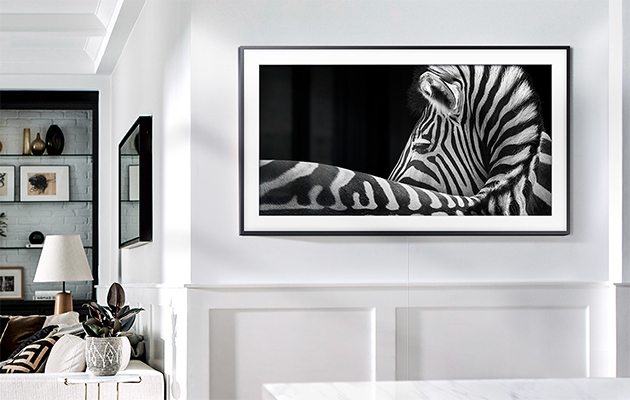 La cornice è appesa a una parete con l'immagine di una zebra