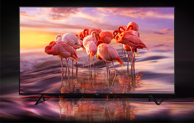 Med Samsungs unika QLED-teknologi vrids färgvolymen upp till 100 %. Flamingos i färgrika omgivningar