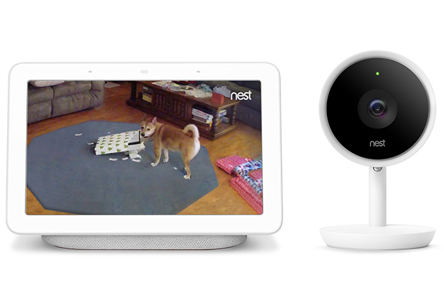 Styr ditt smarta hem med Google Nest hub Hund som syns på en övervakningskamera och en övervakningskamera från Nest