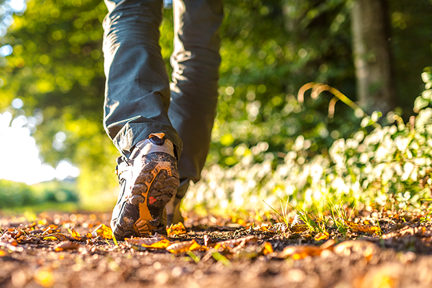 Borde jag promenera 10 000 steg? Man som promenerar i skogen