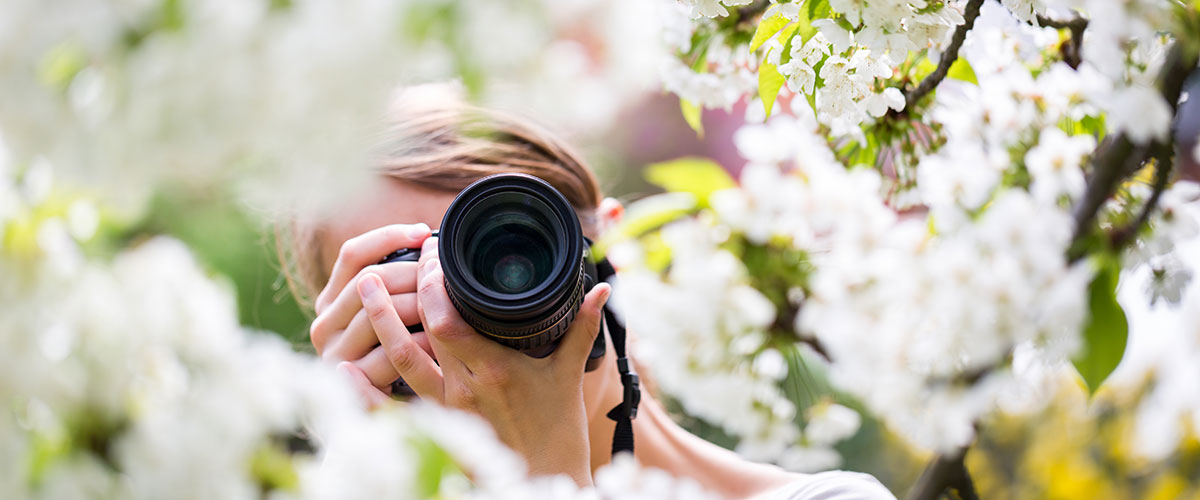 Månadens fotodeal En fotograf ses med kameran framför ansiktet mellan blommande äppelträd