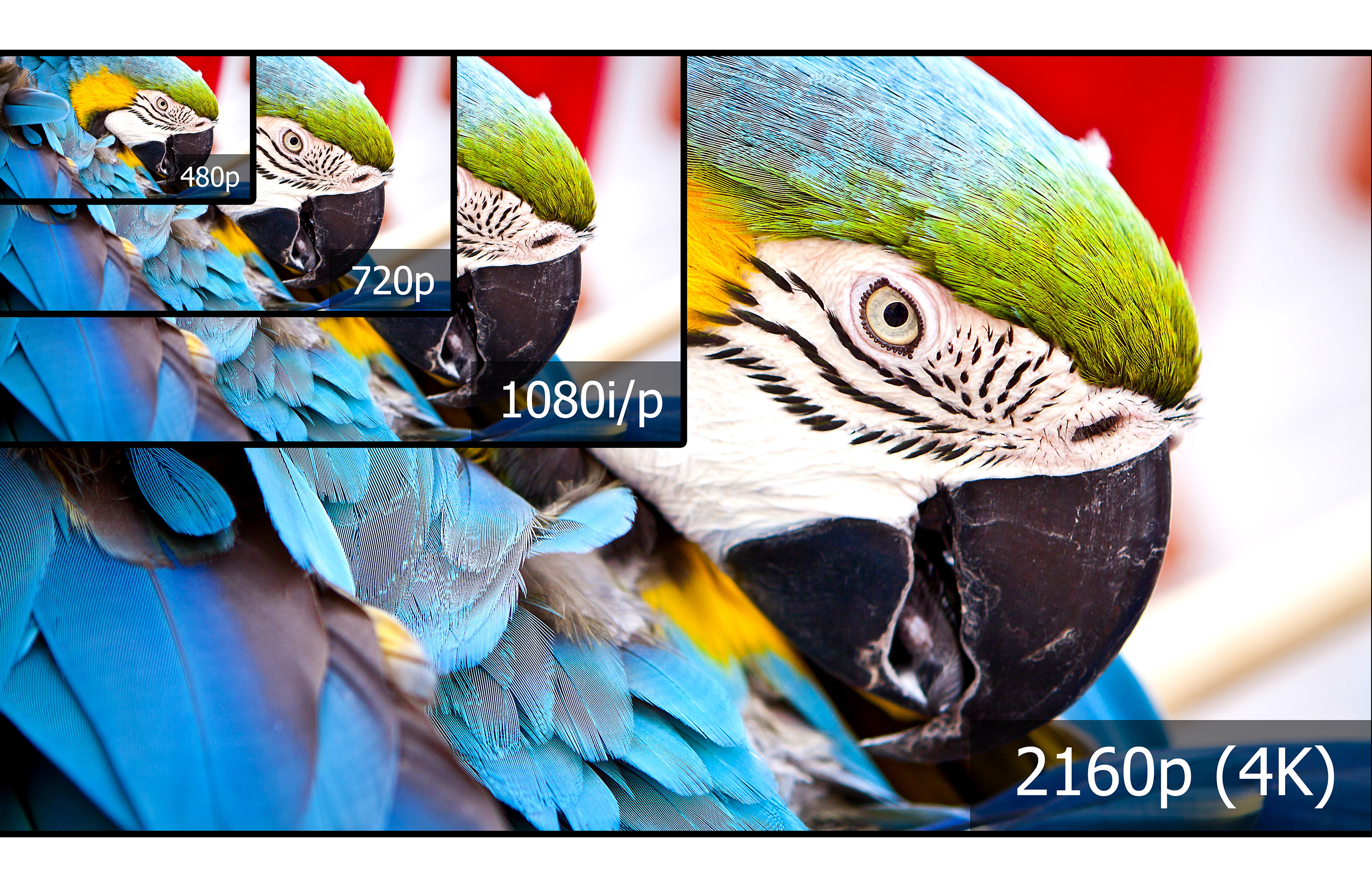 Vad är 4K? Skala som illustrerar antalet pixlar för 4K i jämförelse med Full HD og HD