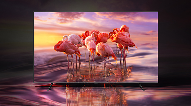 QLED har 100% färgvolym QLED-TV med flamingos