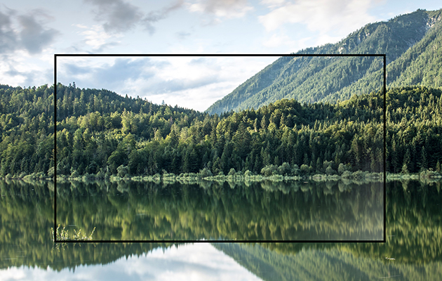 OLED är ett smartare val när du bryr dig om miljön TV som går i ett med naturen