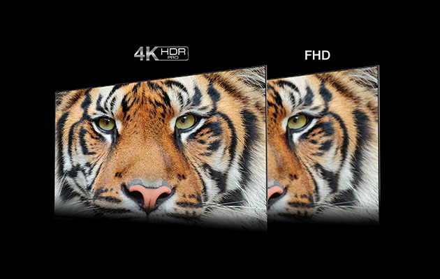4K HDR PRO – ännu bättre kontraster, färger och detaljer TCL-TV-apparater med tigrar