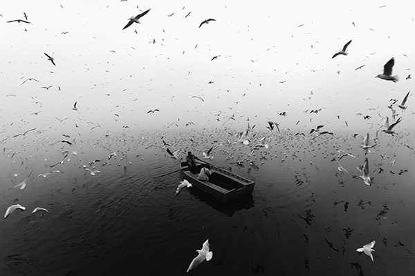 SuperPhoto Svartvitt foto av en man i en båt, omgiven av flygande måsar