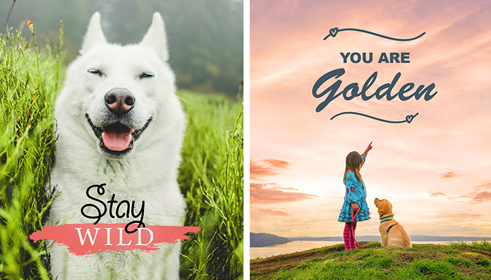 Lägg till grafik på dina bilder med Photoshop Elements 2021 Lägg till grafik på dina bilder med Photoshop Elements 2021