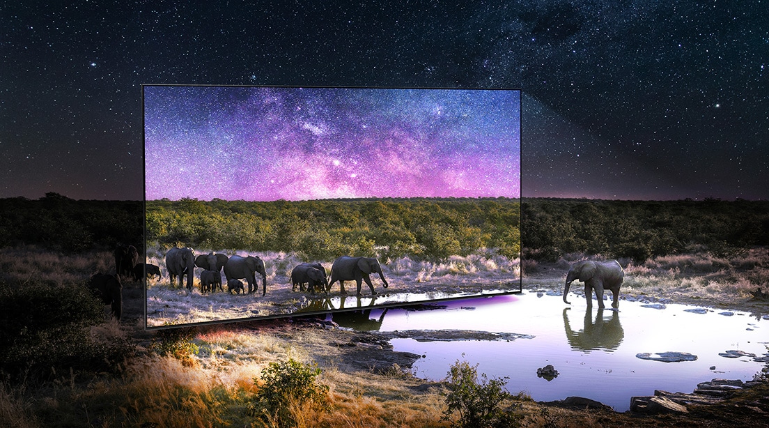  Elefanter på och utanför QLED-TV
