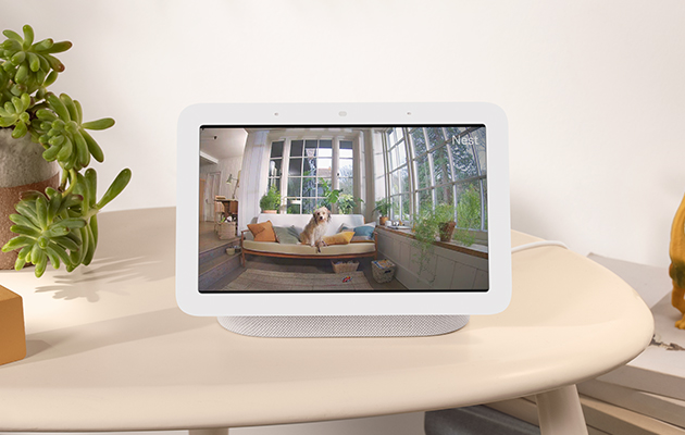 Nest Hub fungerar även med videodörrklockor och kameror från Nest Google Nest Hub visar hund