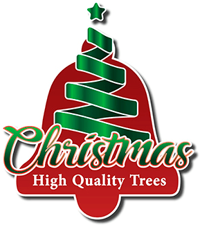 Christmas Collection