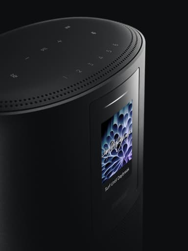 Bose Home Speaker 500 (svart)