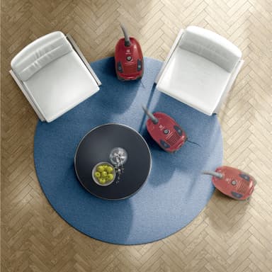 Electrolux PowerForce Dammsugare med påse EPF61RR