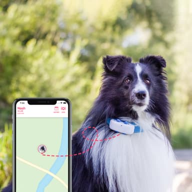 Tractive DOG LTE GPS tracker hund