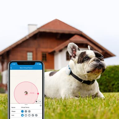 Tractive DOG LTE GPS tracker hund