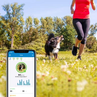 Tractive DOG LTE GPS tracker hund