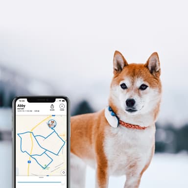 Tractive DOG LTE GPS tracker hund