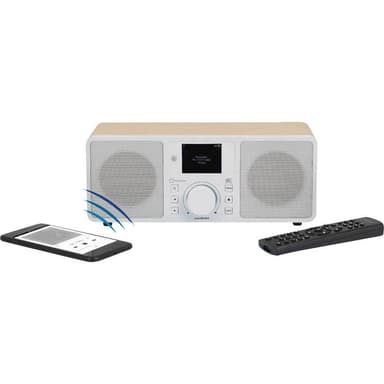 Renkforce RF-IRDAB-RETRO1 Internet-bordsradio DAB+, FM,