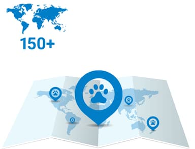 Tractive DOG LTE GPS tracker hund