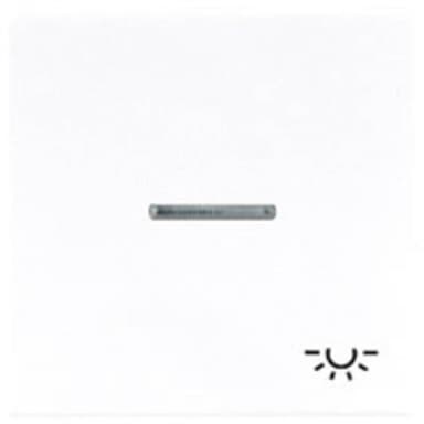 Jung 1x Vippa/centrumplatta Vippkontaktsymbol lampa Vit
