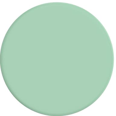 POPSOCKETS PopGrip Basic mobilhållare (pastellmint)