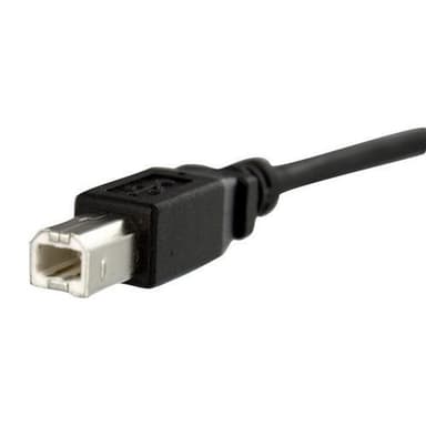 StarTech.com USBPNLBFBM3, 0,91 m, USB B, USB B, USB 2.0, 480 Mbit/s, S