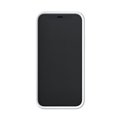 Richmond & Finch iPhone 12 Mini Skal White Marble