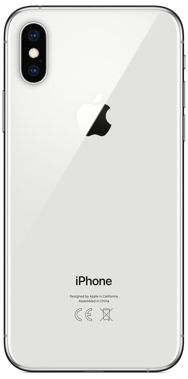 iPhone Xs 256 GB (silver)