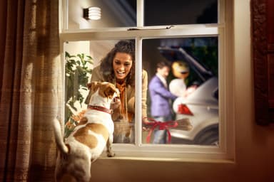 Philips Hue Lucca vägglampa antracit
