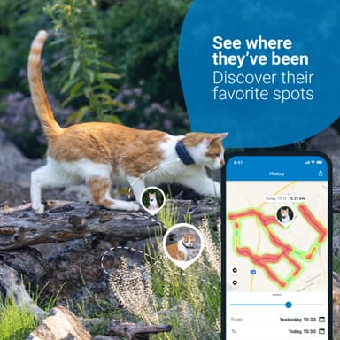 Tractive GPS Tracker - Katt CAT LTE husdjurstracker (blå)