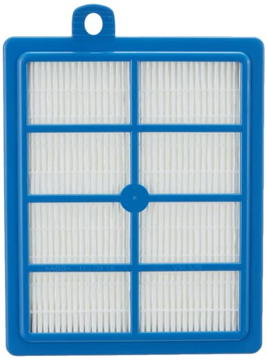 Ersättningsfilter Flerfärgad Electrolux EFSW1/E12