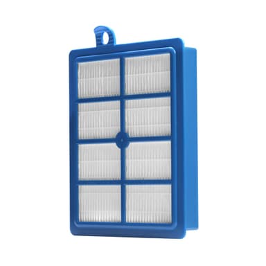 Ersättningsfilter Flerfärgad Electrolux EFSW1/E12