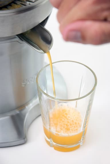 Sage Juicepress 800CPUK