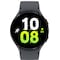 Samsung Galaxy Watch5 44mm LTE (grafit)