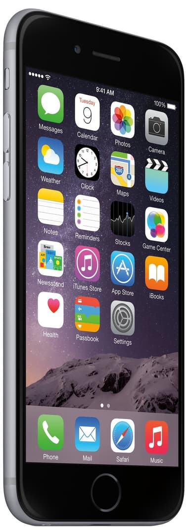 iPhone 6 16GB (rymdgrå)