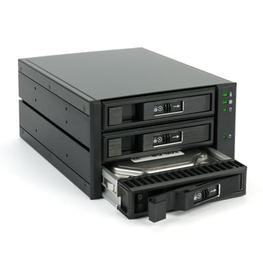 Fantec BP-T2131 HDD- / SSD kabinett Svart 2.5/3.5"