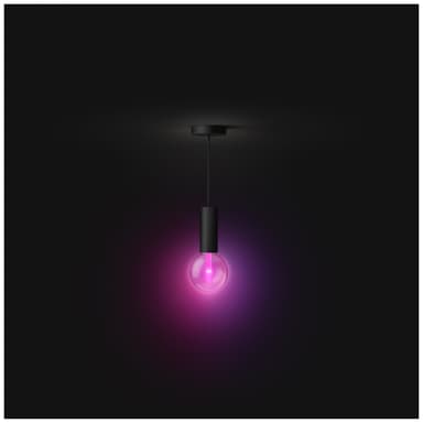 Philips Hue LightGuide Globe 6.5W G125 E27