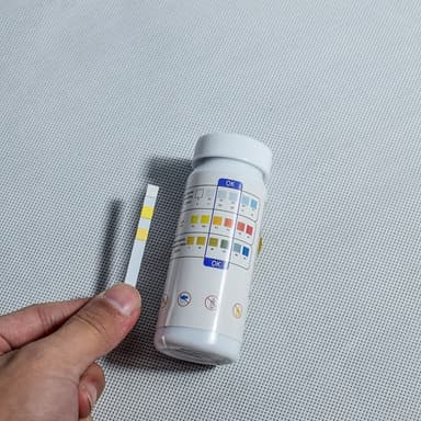 Testremsor för poolvatten/simbassäng Vit