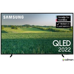Samsung 65" Q60B 4K QLED TV (2022, Calman-kalibrerad)