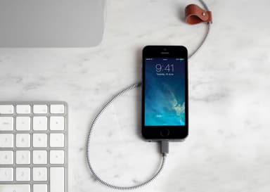 Native Union Belt USB-A till Lightning-kabel (zebra)
