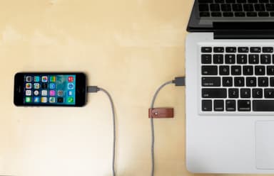 Native Union Belt USB-A till Lightning-kabel (zebra)