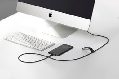 Native Union Belt USB-C till Lightning-kabel (zebra)