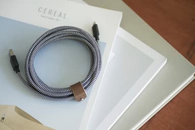 Native Union Belt XL USB-A till Lightning-kabel (zebra)