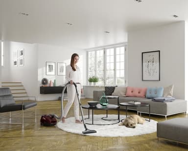 Electrolux SilentPerformer dammsugare ESP73IW (vinröd)