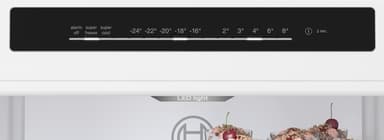 Bosch Serie 4 Kyl/Frys KGN36VXCT (antracit- rostfri)
