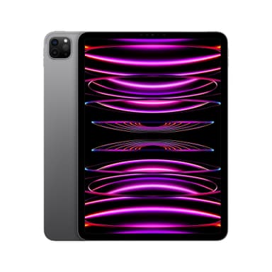 iPad Pro 11" 2022 512 GB WiFi (space gray )