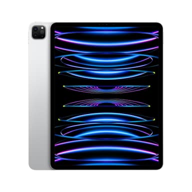 iPad Pro 12.9" 2022 256 GB WiFi (silver )