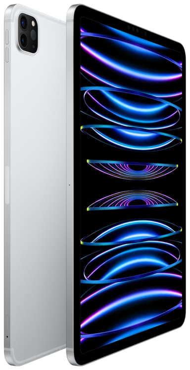 iPad Pro 11" 2022 256 GB WiFi + Cellular (silver )