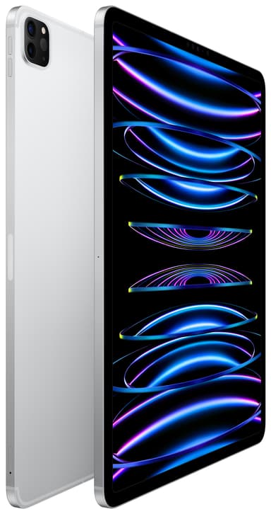 iPad Pro 12.9" 2022 512 GB WiFi + Cellular (silver )